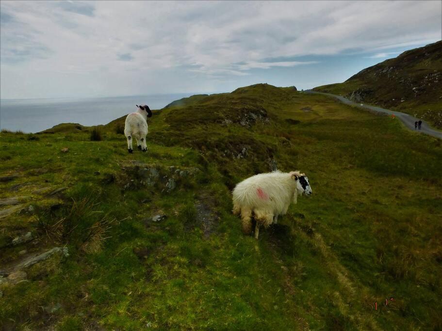 The Cosy Farm Cottage, Donegal Inver Luaran gambar
